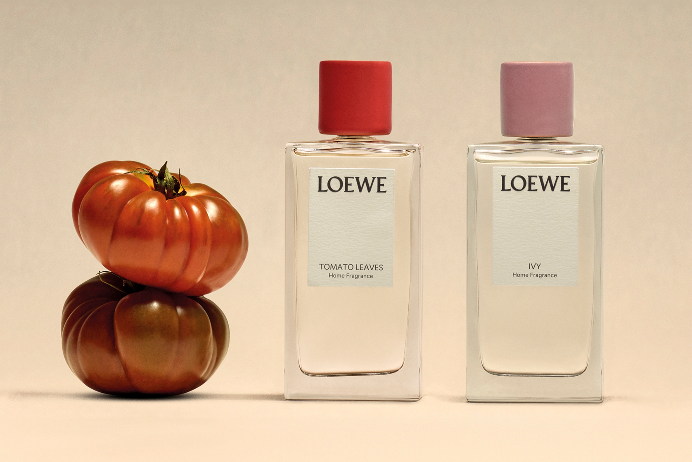LOEWE PERFUMES